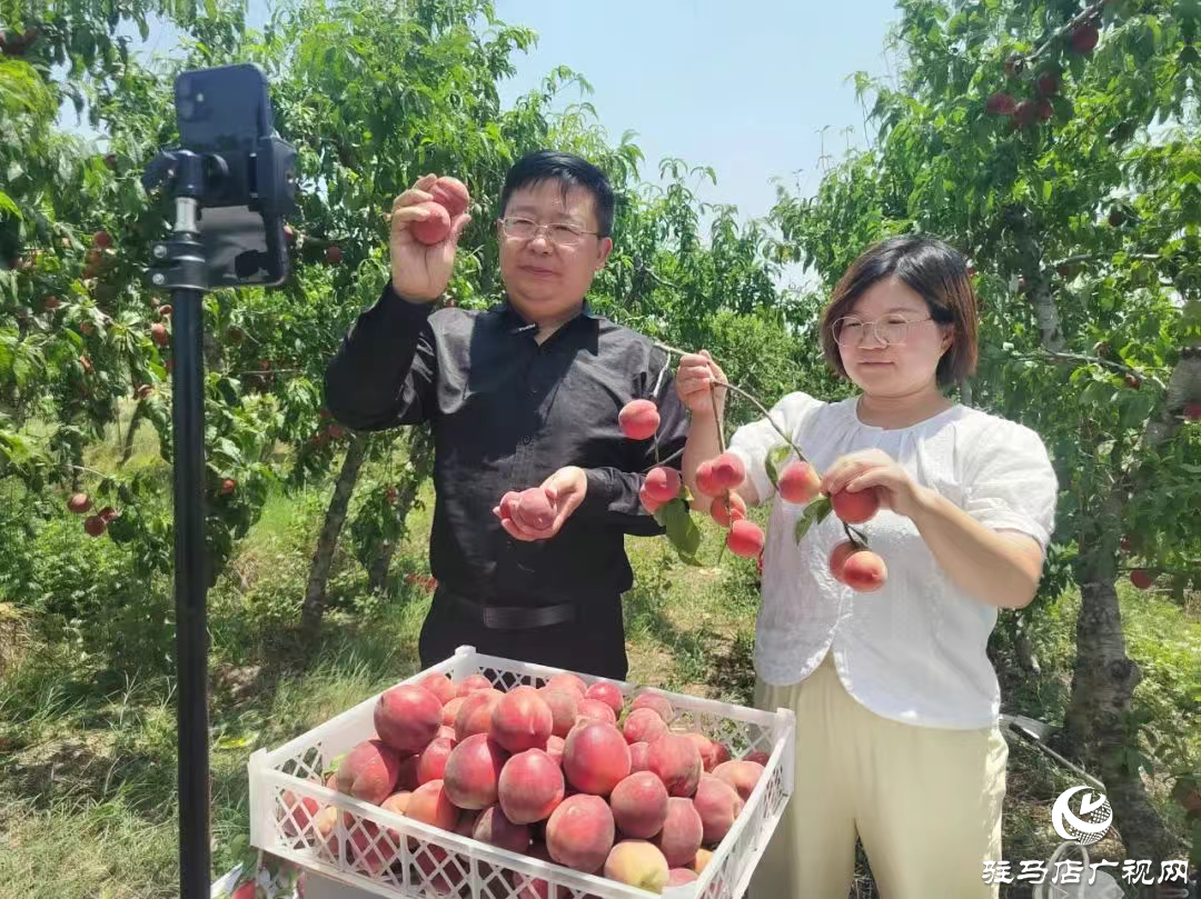 正陽縣政協委員化身主播繪就助農好“豐”景
