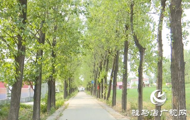 生態“打底”產業“生金” 朱古洞村繪就振興新圖景