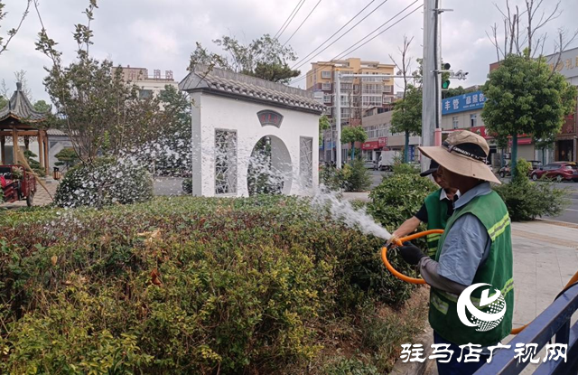 驛城區：抗旱澆水不停歇 精灌細護保綠忙