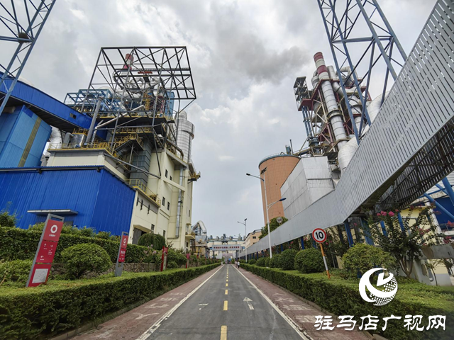 豫龍同力水泥：綠色智造樹標桿 低碳轉型領跑傳統產業升級