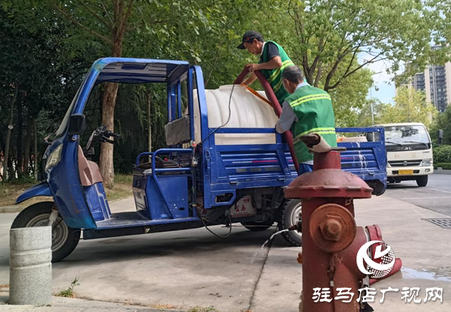 驛城區：抗旱澆水不停歇 精灌細護保綠忙