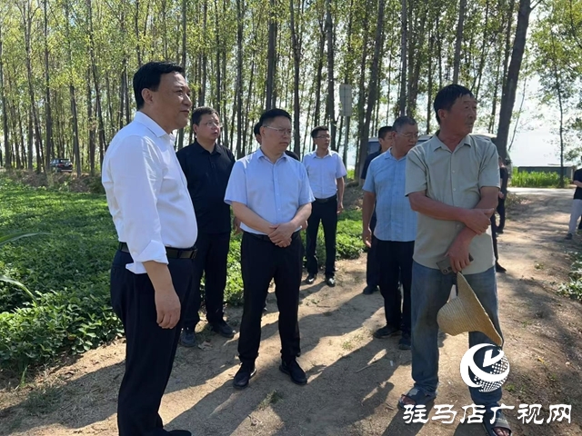  西平縣委書記侯公濤調(diào)研：聚焦產(chǎn)業(yè)與民生 筑牢發(fā)展安全線