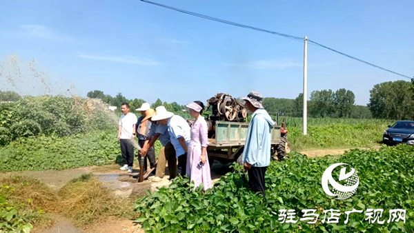 平輿縣老王崗鄉：干群同心抗旱保秋 為秋糧豐收“保駕護航”