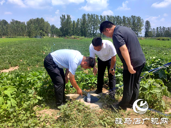 平輿縣李屯鎮：一線抗旱保秋糧 保水解憂穩民生