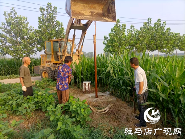 平輿縣老王崗鄉：干群同心抗旱保秋 為秋糧豐收“保駕護航”