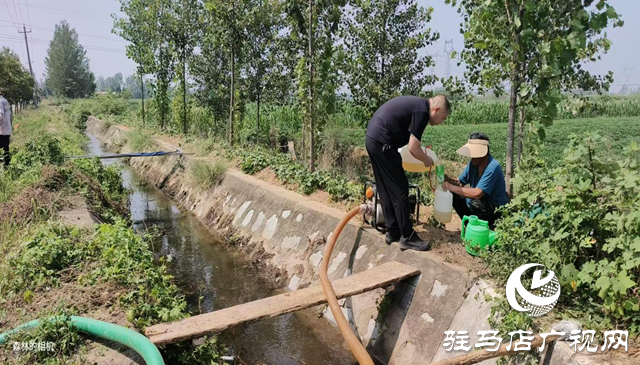 駐馬店市驛城區沙河店鎮：抗旱保苗齊努力 澆水潤田共擔當