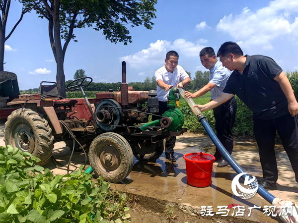平輿縣李屯鎮：一線抗旱保秋糧 保水解憂穩民生