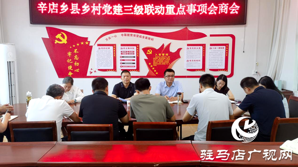 平輿縣辛店鄉(xiāng)：一線督導解難題，三級聯動強攻堅