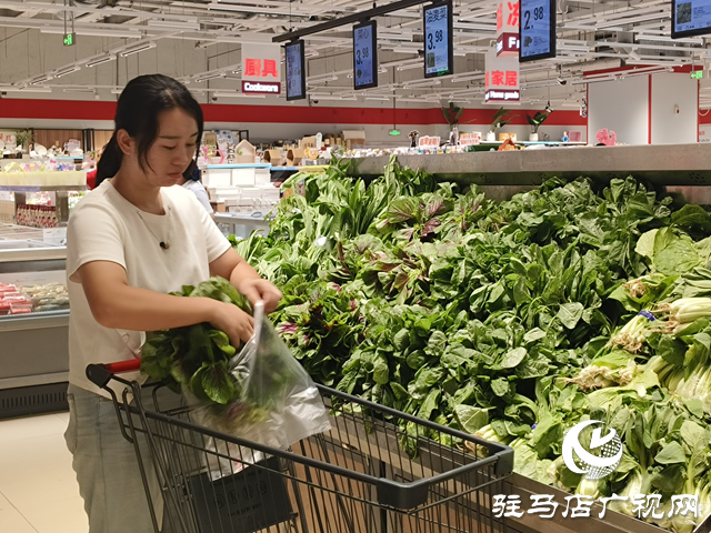 “平價護眼菜”莧菜大量上市 營養(yǎng)美味引市民熱購