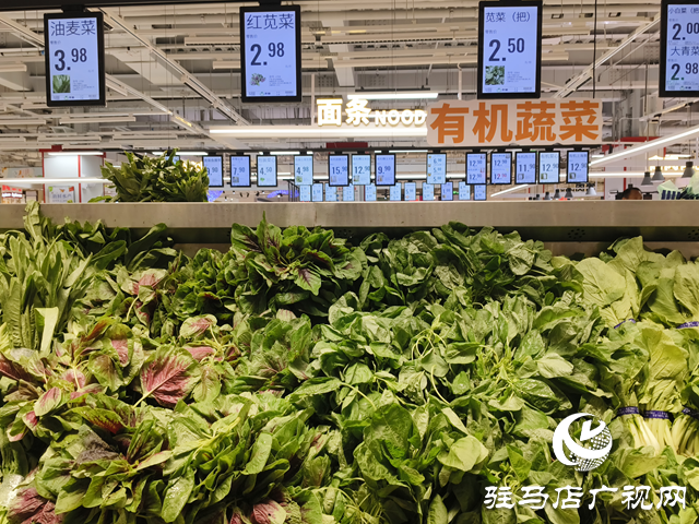 “平價護眼菜”莧菜大量上市 營養(yǎng)美味引市民熱購