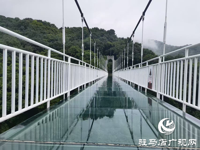 駐馬店驛城區：生態旅游為筆 繪就鄉村振興新畫卷