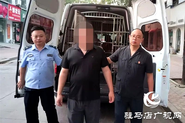 平輿縣人民法院：火力全開，不懼“烤”驗再出發！