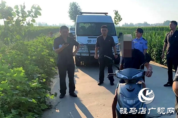 平輿縣人民法院：火力全開，不懼“烤”驗再出發！