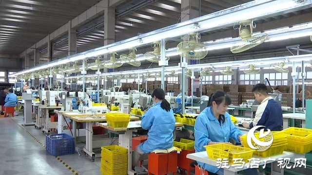 中原銀行駐馬店分行：金融活水潤民企 創新賦能促發