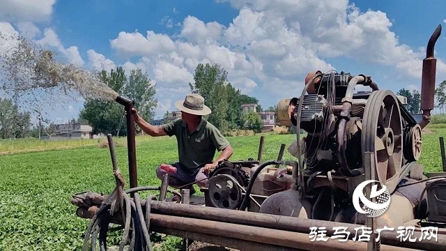  新蔡縣磚店鎮：干群同心抗旱情 全力保秋穩增收