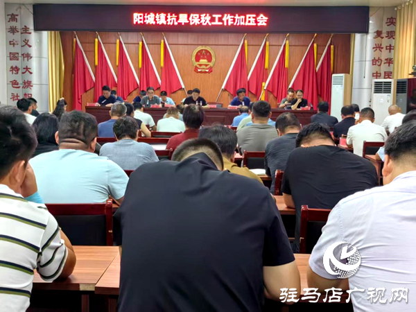平輿縣陽城鎮：多措并舉抗旱保秋 筑牢糧食安全防線