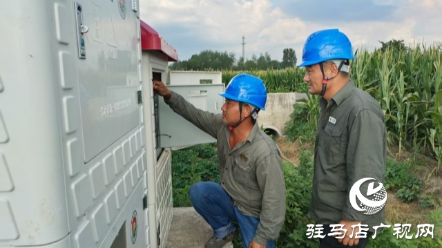 國網確山縣供電公司全力保抗旱，守護農田“生命線”
