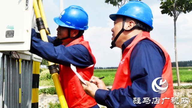 國網平輿縣供電公司：抗旱保電潤芝麻 電力護航保豐收