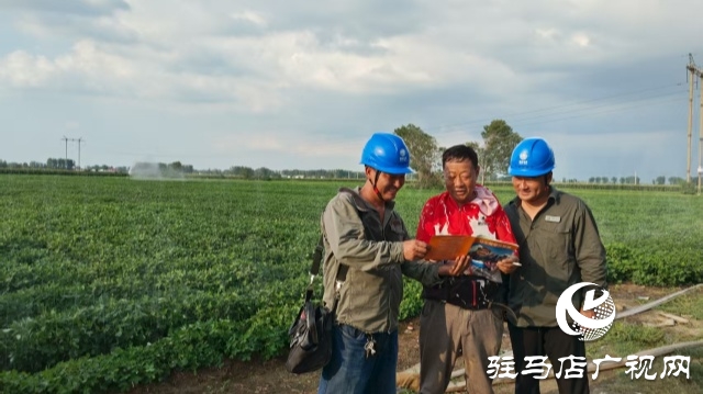 國網確山縣供電公司全力?？购?，守護農田“生命線”