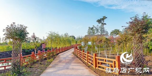 正陽縣彭橋鄉大劉村：“五星”創建引領 賦能鄉村全面振興