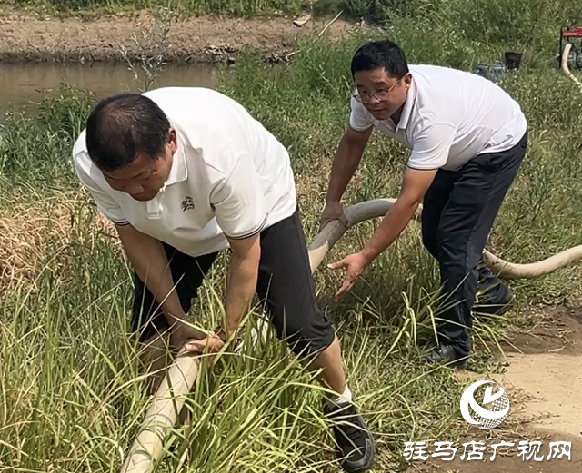驛城區香山街道：多源聯動為秋作物“解渴”