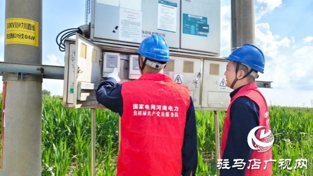 國網西平縣供電公司：抗旱保電“加速度” 守護田間“生命線”
