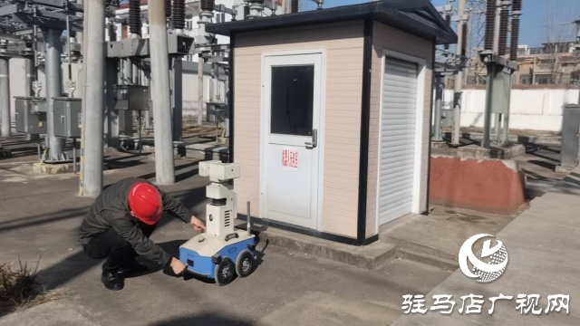 國網平輿縣供電公司：智慧巡檢精準排障 數字賦能保障供電
