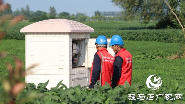國網正陽縣供電公司：電力護航戰旱情 清流潤田解民憂