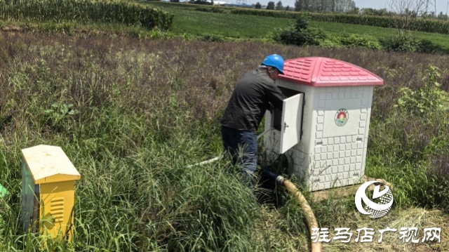 國網上蔡縣供電公司：全力護航夏灌用電