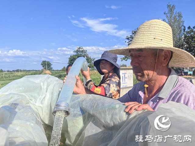 驛城區沙河店鎮：高溫抗旱保民生 臨時取水點解民憂