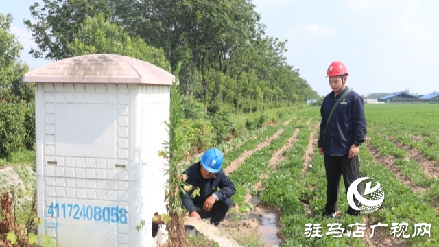 國網正陽縣供電公司：電力護航戰旱情 清流潤田解民憂