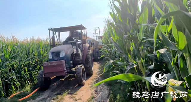 與時間賽跑！大余莊社區爭分奪秒修井保玉米灌溉