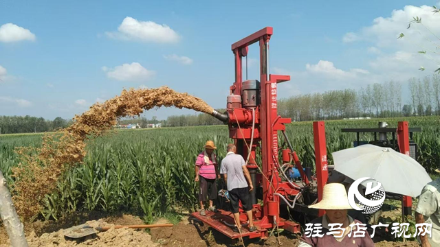 遂平縣玉山鎮：多點發力抗旱保秋 筑牢糧食安全防線
