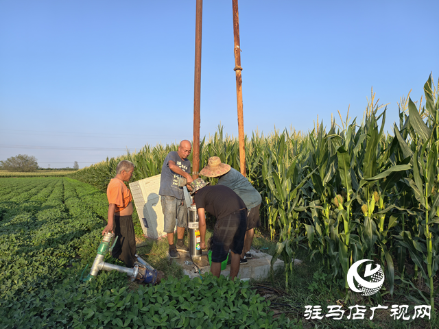 與時間賽跑！大余莊社區爭分奪秒修井保玉米灌溉