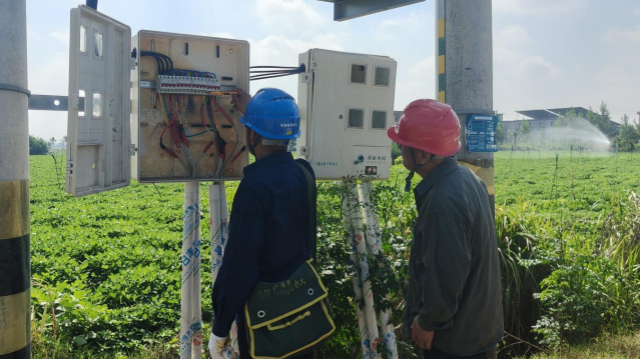 駐馬店供電公司：多舉措抗旱保供 全力保障農業生產