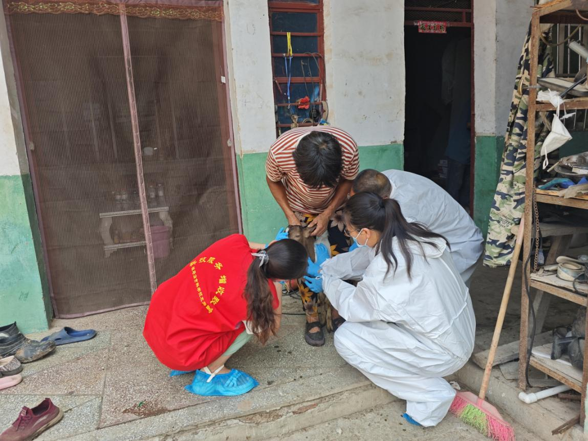 駐馬店市首席科普專家下鄉指導養羊戶解疫病難題