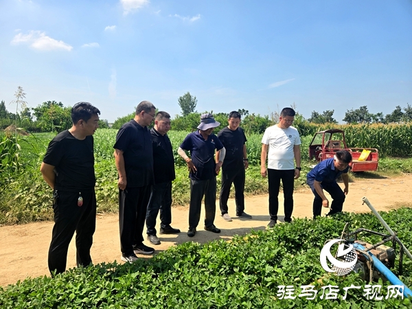 平輿縣古槐街道：三級聯(lián)動(dòng)同心聚力保秋糧