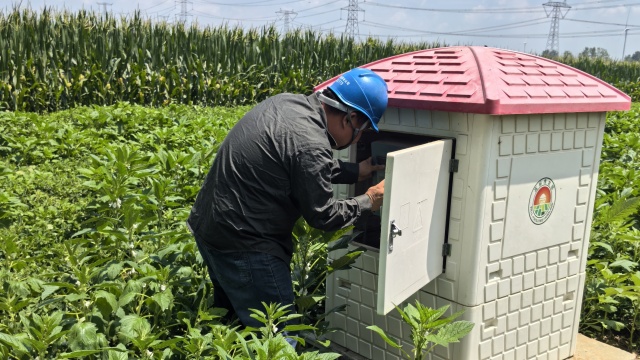 國網上蔡縣供電公司：以充足電力保障農田灌溉
