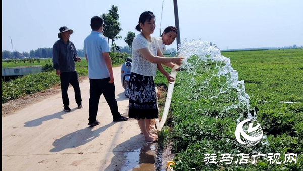 平輿縣辛店鄉：志愿先鋒沖在前 抗旱保收護民生