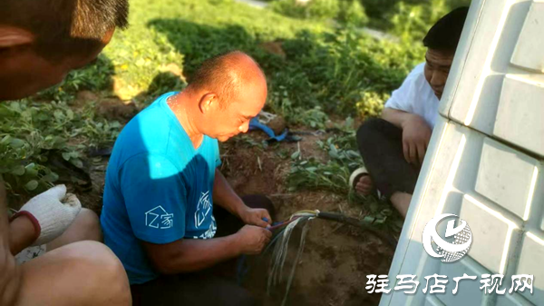 平輿縣辛店鄉：志愿先鋒沖在前 抗旱保收護民生