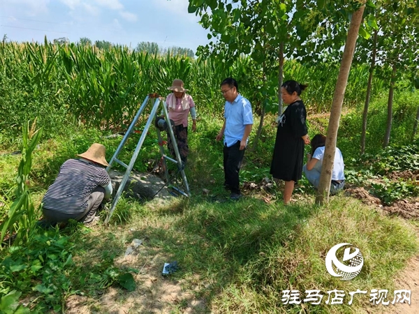 平輿縣廟灣鎮：多措并舉戰旱情 全力以赴保秋收