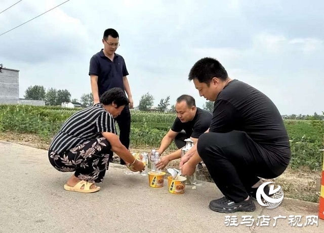 新蔡縣楊莊戶鄉：暖心午餐送一線 干群同心保秋收