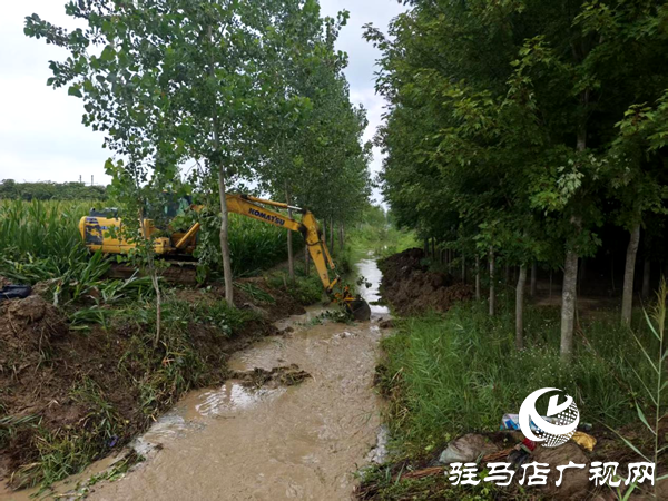 平輿縣李屯鎮三措并舉抗旱保秋 筑牢秋收豐收防線 