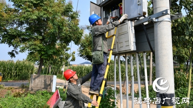 國網確山縣供電公司：汗水鑄就“強電網”  守護秋糧“生命線”