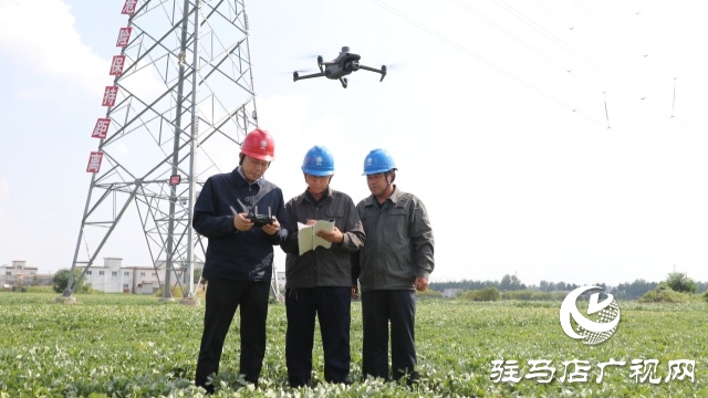 國網正陽縣供電公司：精益化巡檢 保障抗旱用電