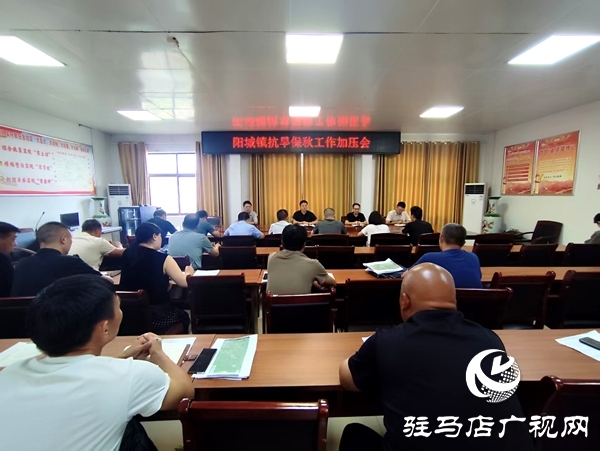 平輿縣陽城鎮：抗旱保秋再加壓，攻堅沖刺保秋糧