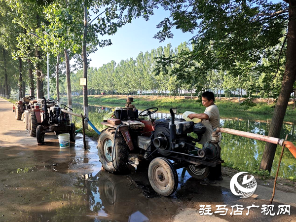 平輿縣李屯鎮三措并舉抗旱保秋 筑牢秋收豐收防線 