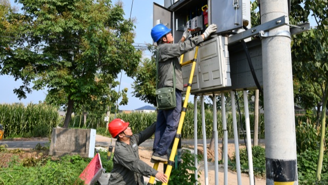 國網確山縣供電公司：汗水鑄就“強電網”  守護秋糧“生命線”