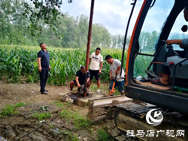 平輿縣李屯鎮三措并舉抗旱保秋 筑牢秋收豐收防線 