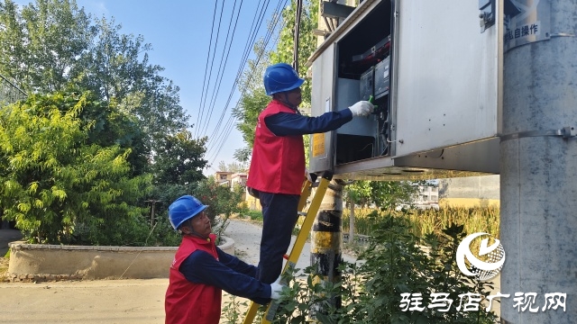 國網新蔡縣供電公司：精細排查筑根基 抗旱保秋顯實效